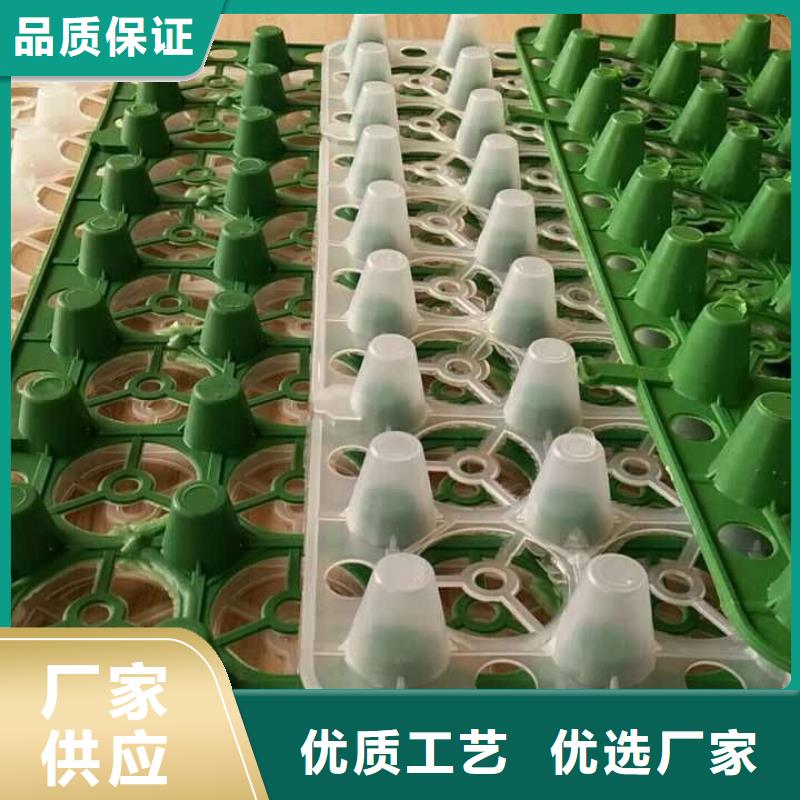 排水板_塑料排水板厂家直销值得选择