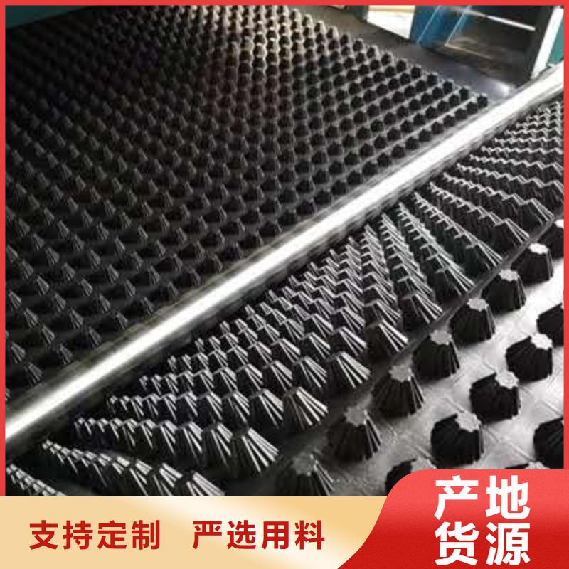 排水板复合土工膜敢与同行比质量