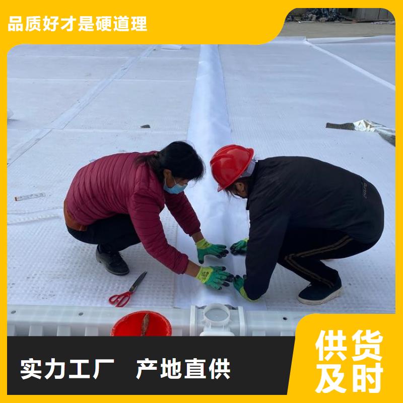 排水板植草格实体厂家支持定制