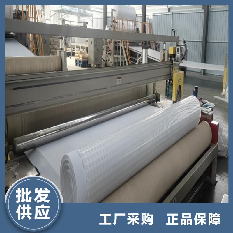 排水板滤水板真材实料加工定制