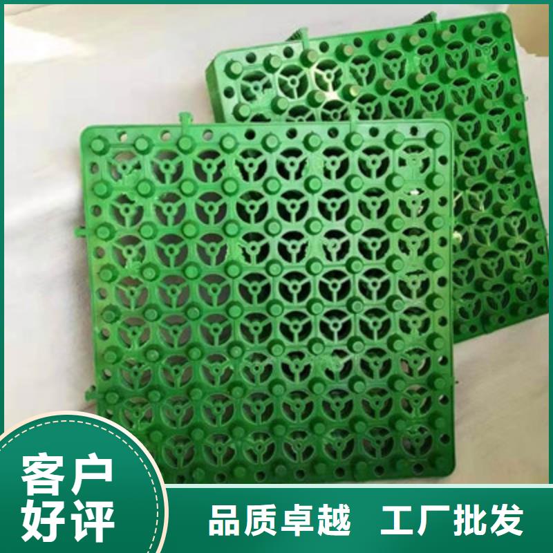 排水板_塑料排水板厂家直销值得选择