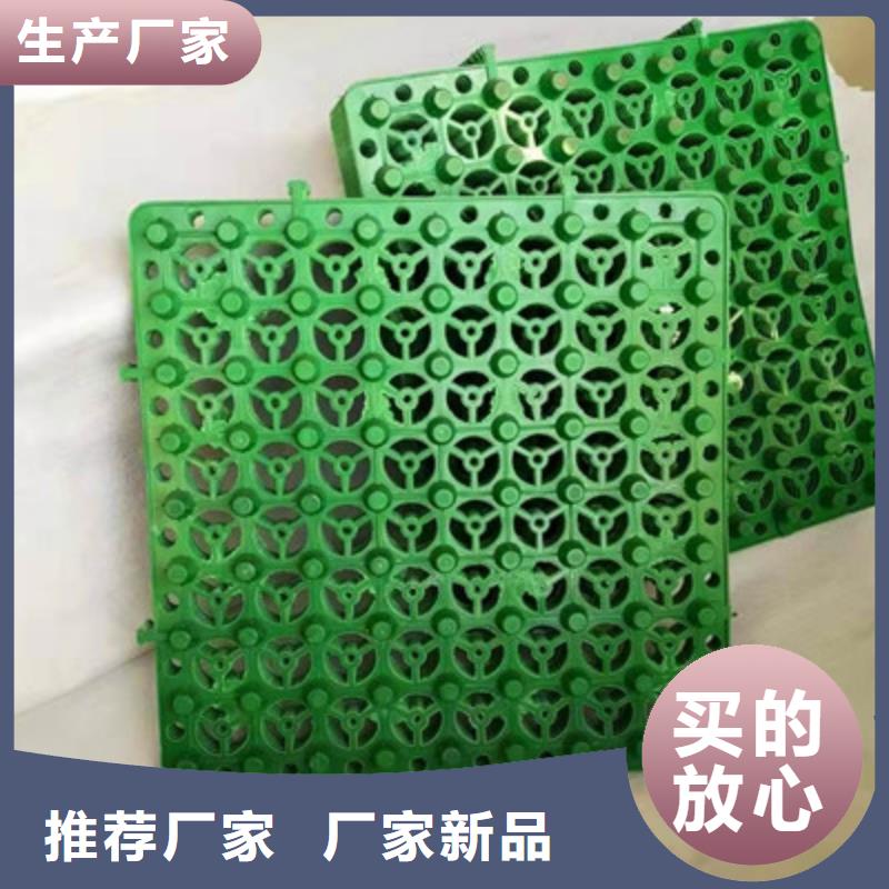 排水板滤水板真材实料加工定制