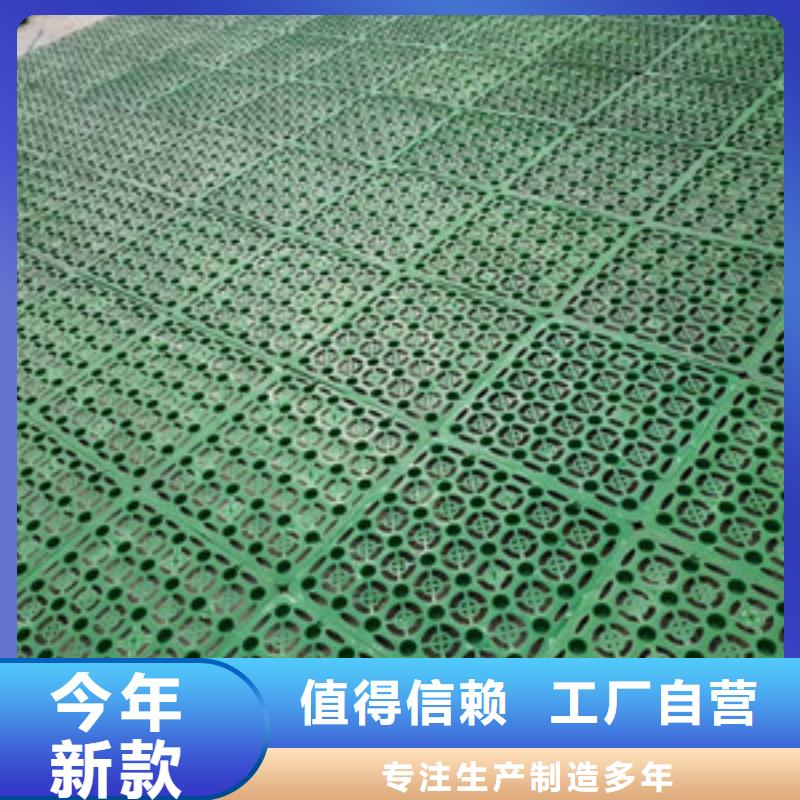 排水板三维植被网经销商