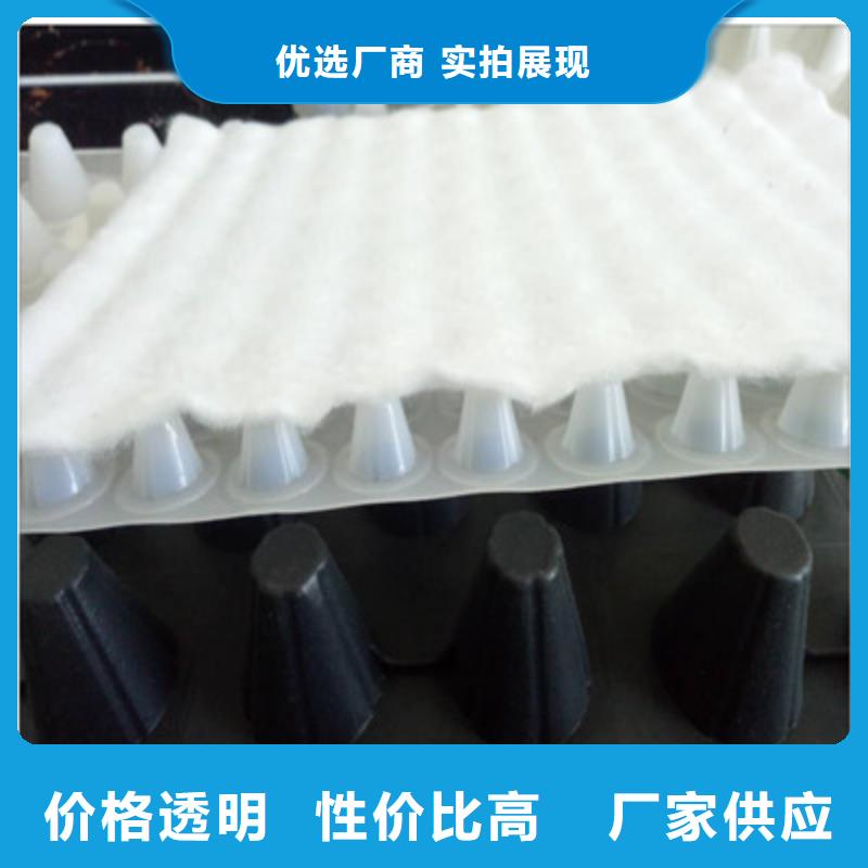 排水板土工格栅用品质赢得客户信赖