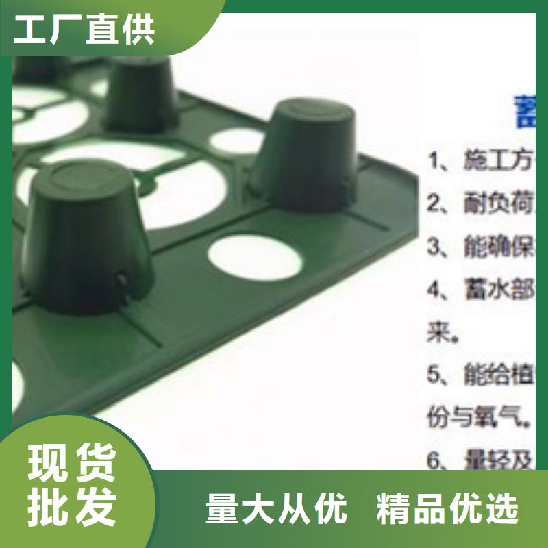 排水板-塑料盲沟管懂您所需