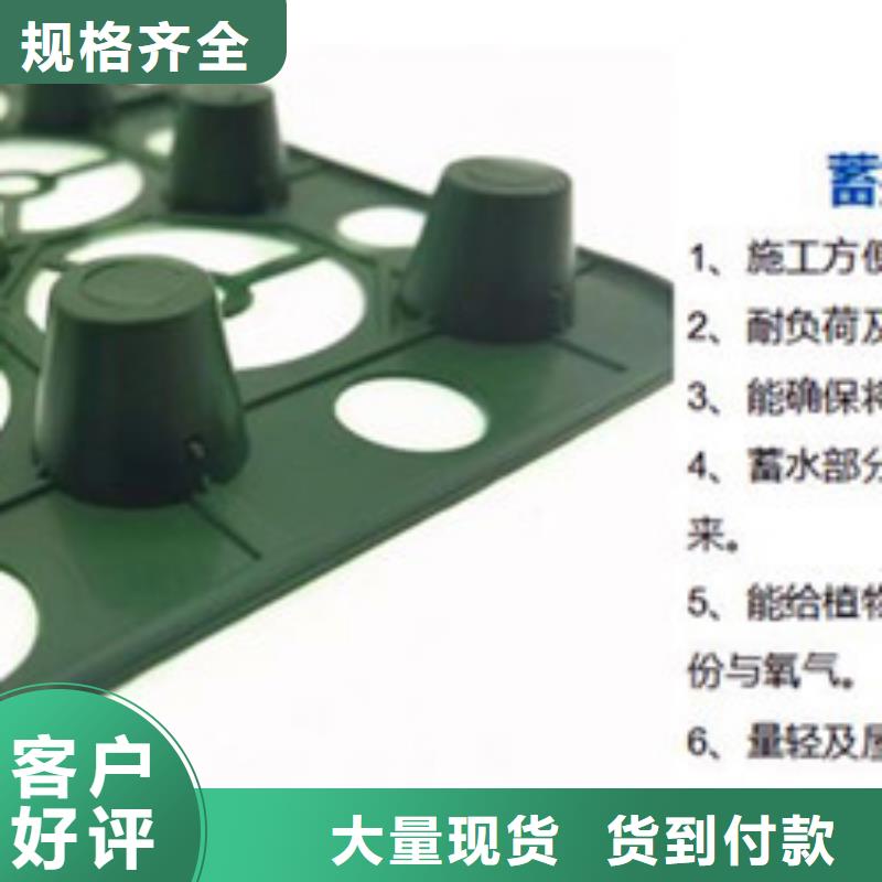 排水板滤水板快捷的物流配送