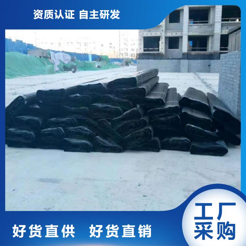 排水板植草格实体厂家支持定制