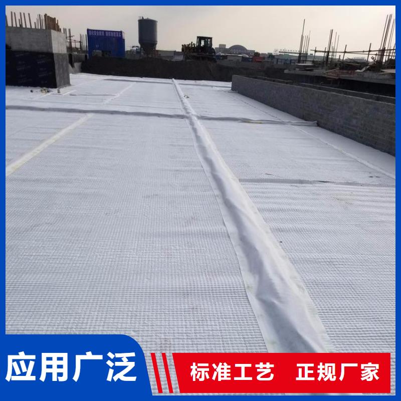 排水板复合土工膜无中间商厂家直销
