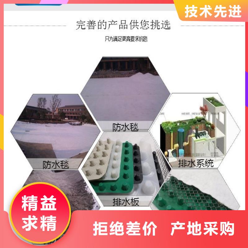 排水板三维植被网懂您所需
