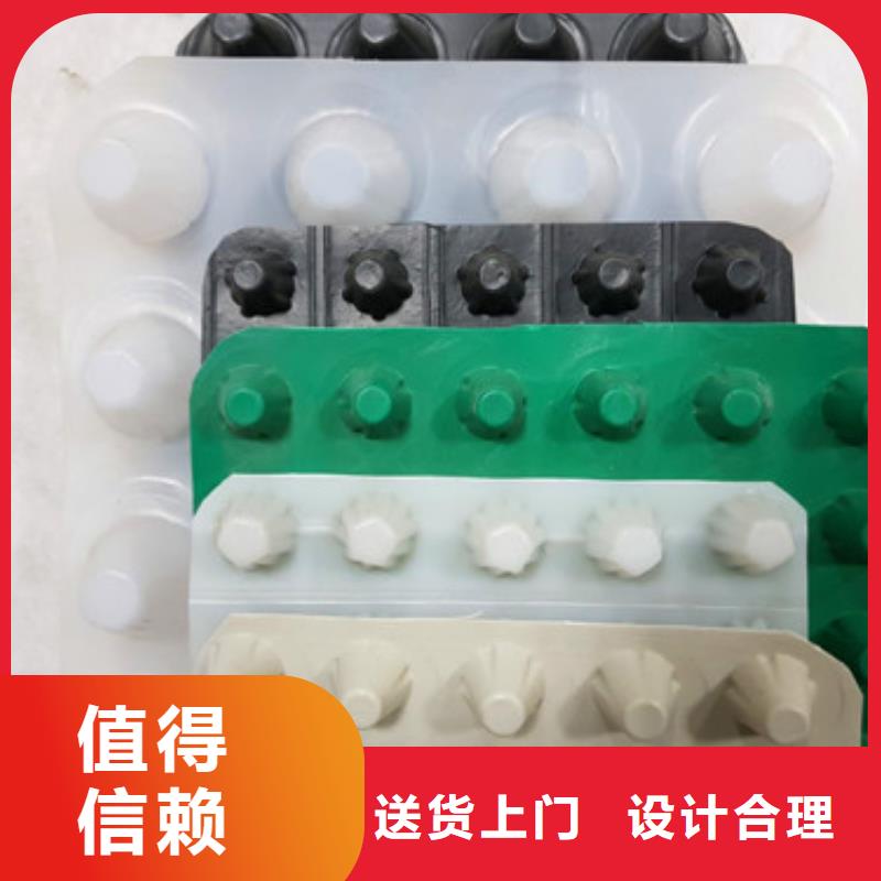 排水板塑料排水板精品优选
