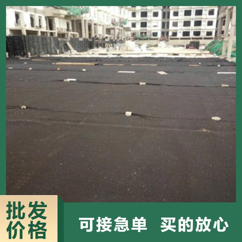 排水板 塑料盲沟管极速发货