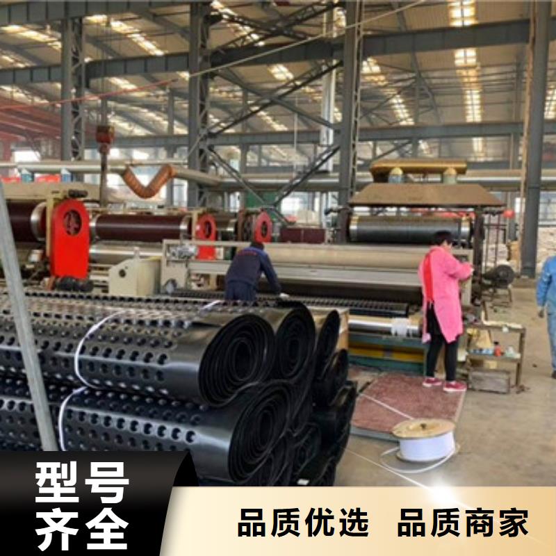 排水板虹吸排水系统定制速度快工期短