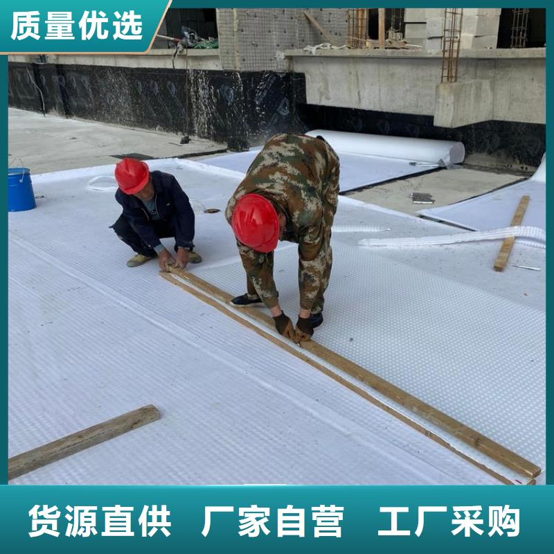 排水板_塑料排水板厂家直销值得选择