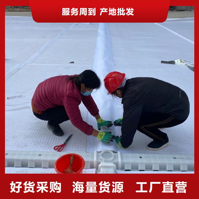 排水板,塑料盲沟管快速报价