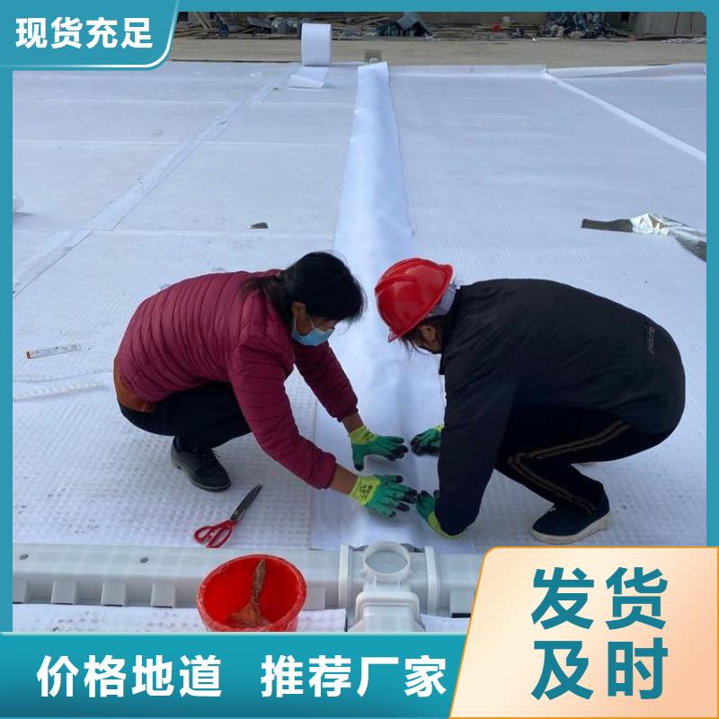 排水板_塑料排水板质量看得见