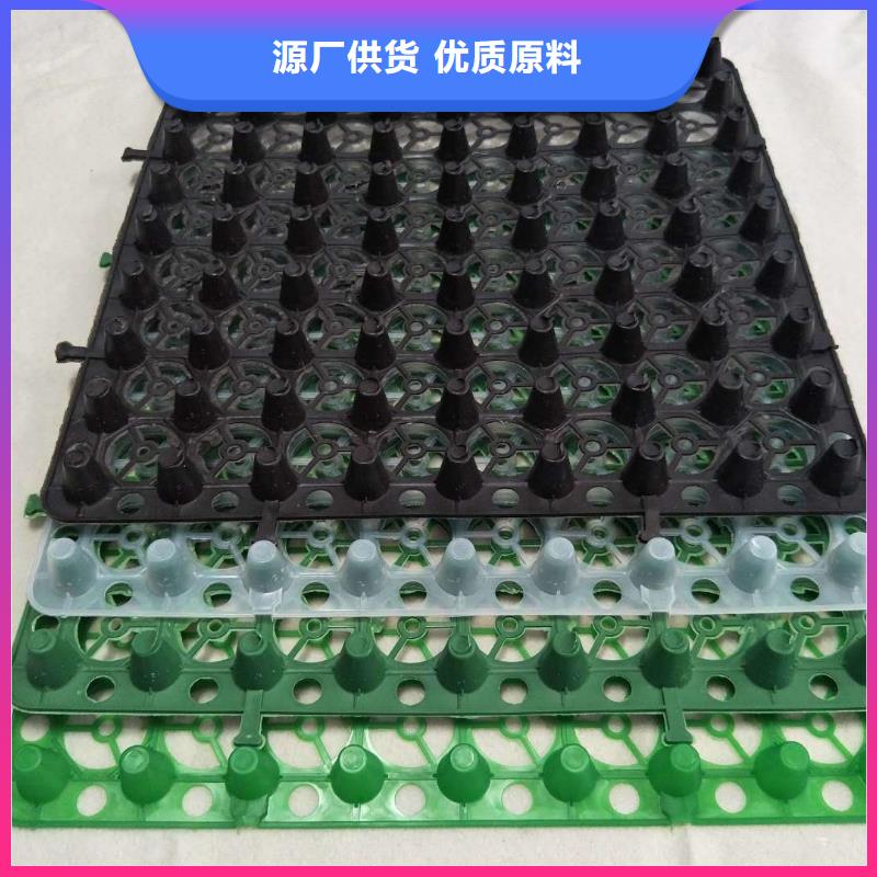 排水板滤水板实力雄厚品质保障