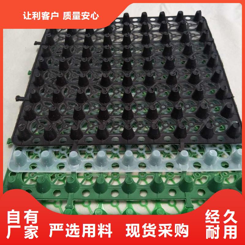 排水板_塑料排水板厂家直销值得选择