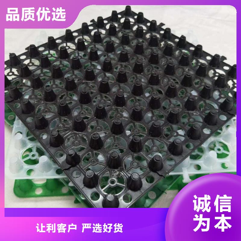 排水板防水板实力才是硬道理