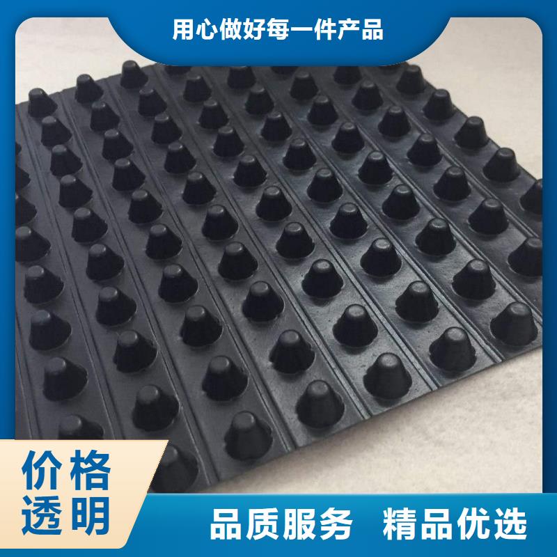 排水板三维植被网经销商