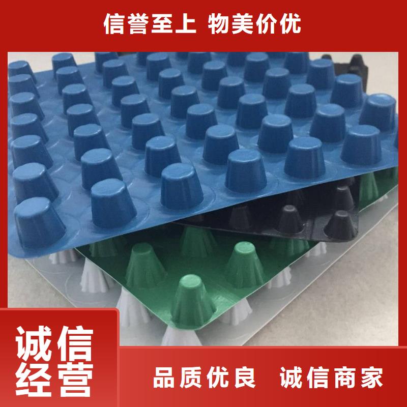 排水板三维植被网厂家实力大