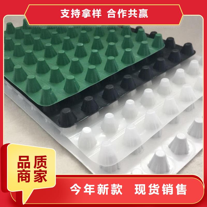 排水板-土工格栅工厂直销