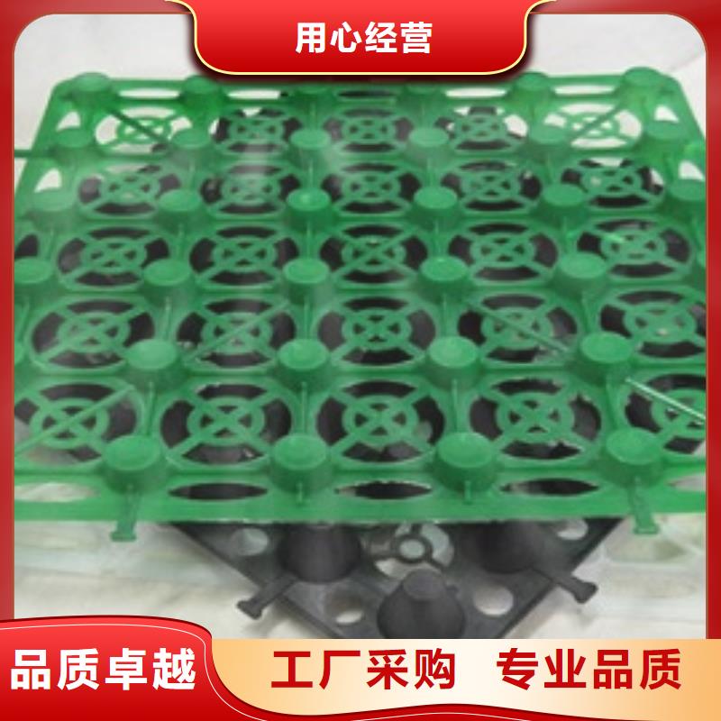 排水板,土工格栅好货有保障