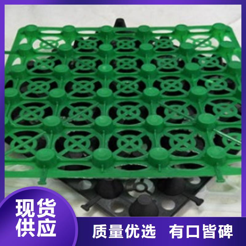排水板植草格实体厂家支持定制