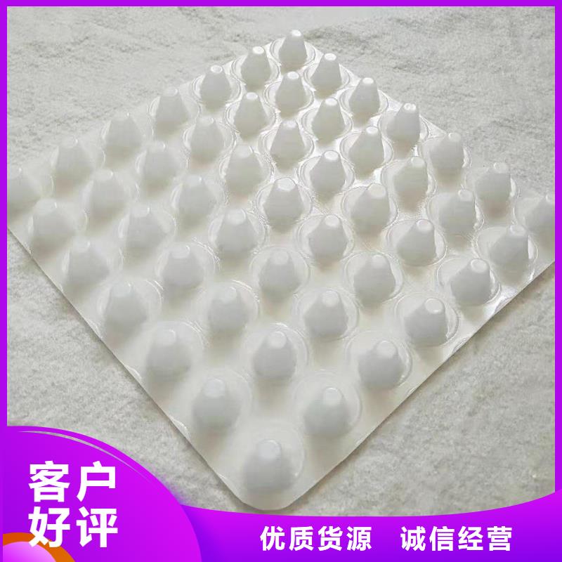 排水板土工膜质量优价格低