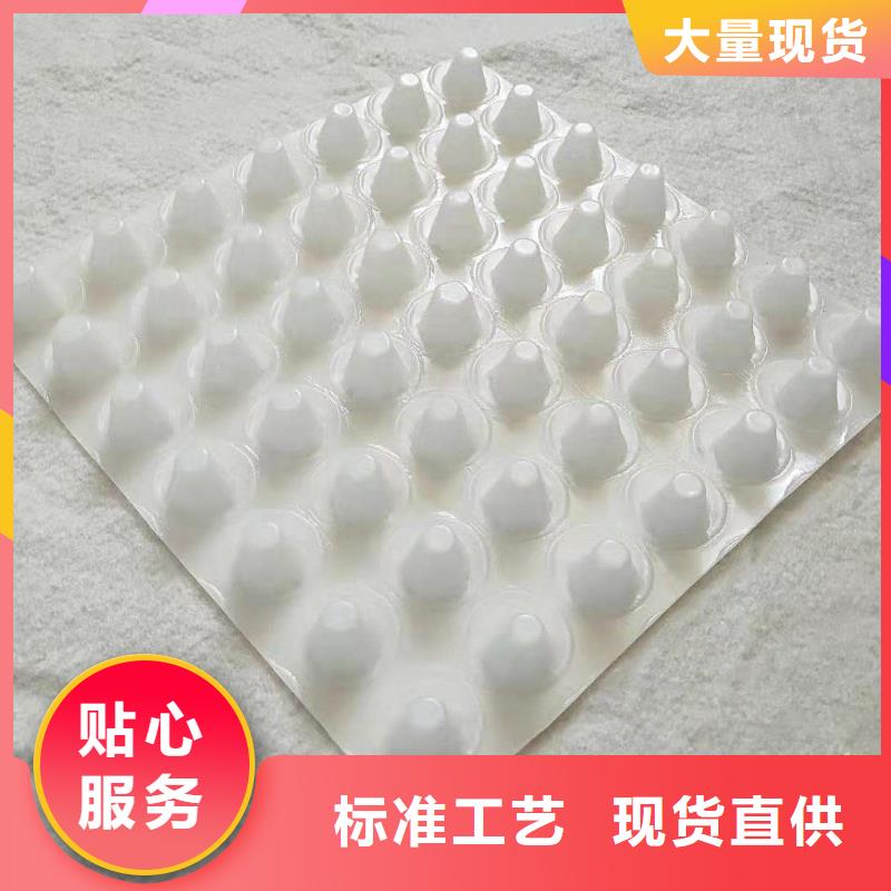 排水板,土工格栅多年实力厂家