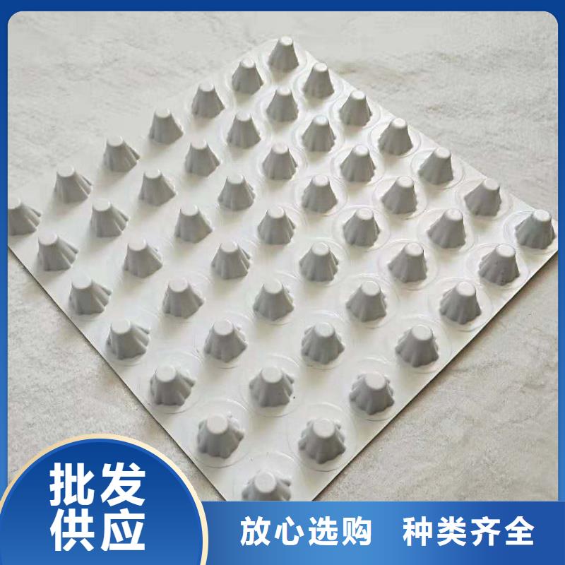 排水板-土工格栅工厂直销