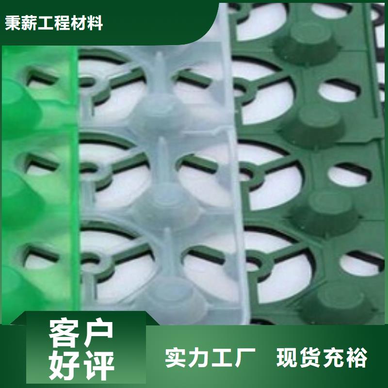 排水板土工格栅优质工艺