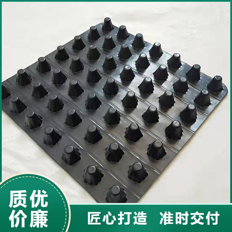 排水板植草格品质过硬