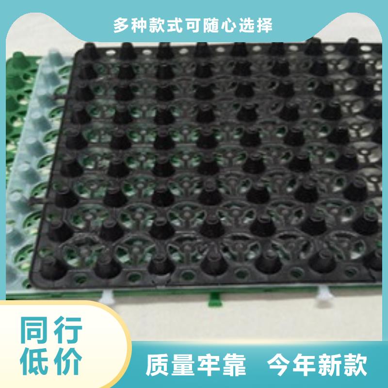 排水板植草格品质过硬