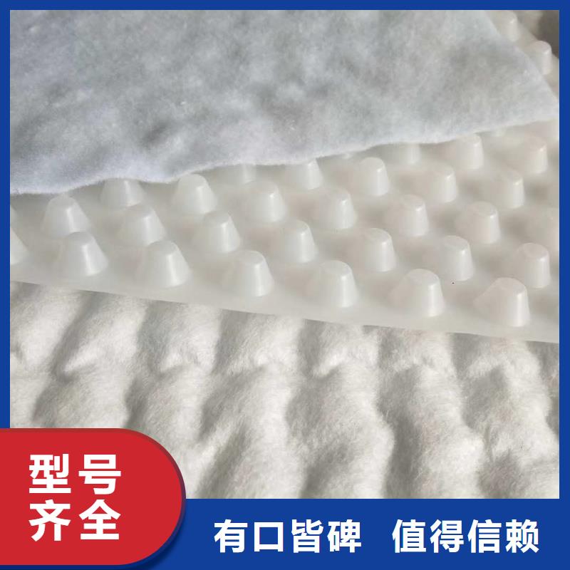 排水板,土工布工期短发货快