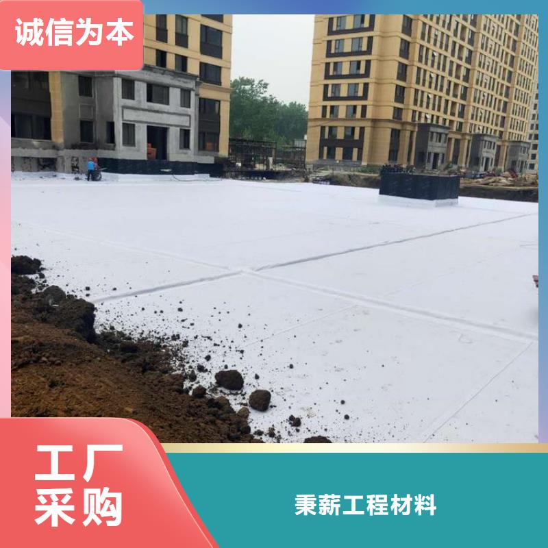 排水板_土工格栅严谨工艺