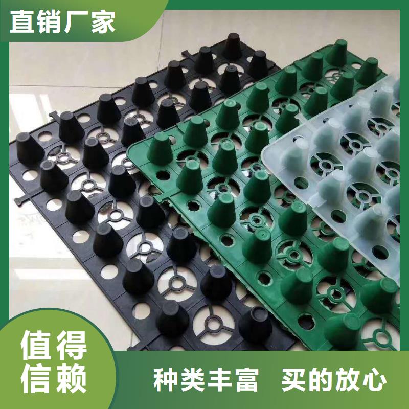 排水板滤水板真材实料加工定制
