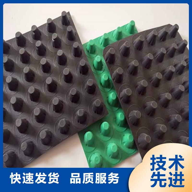 排水板土工格栅优质工艺