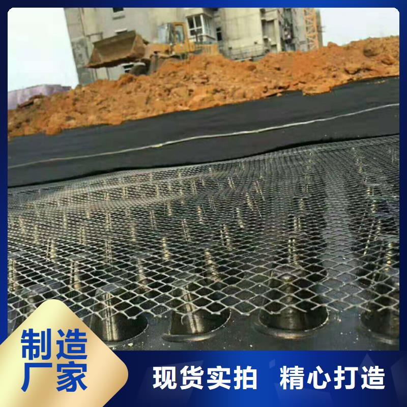 排水板_土工格栅严谨工艺