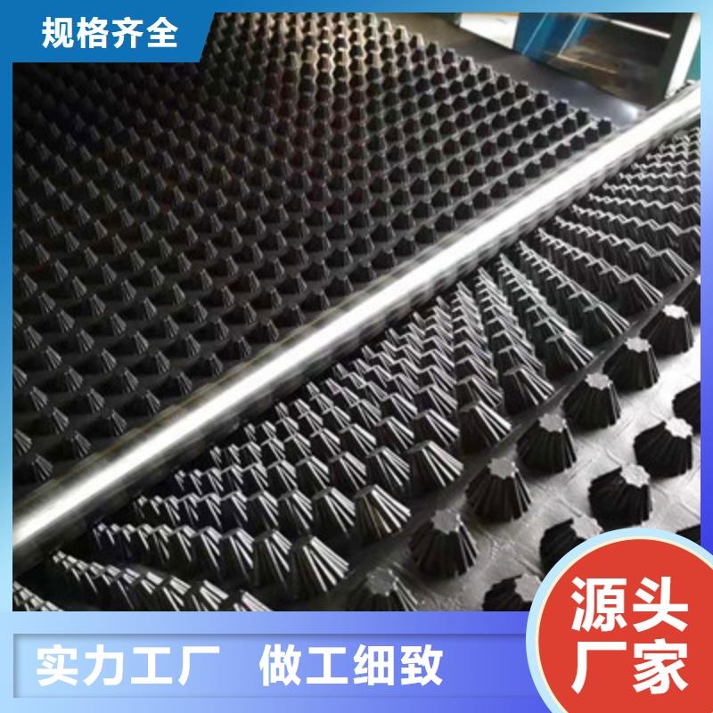 排水板复合土工膜一站式厂家