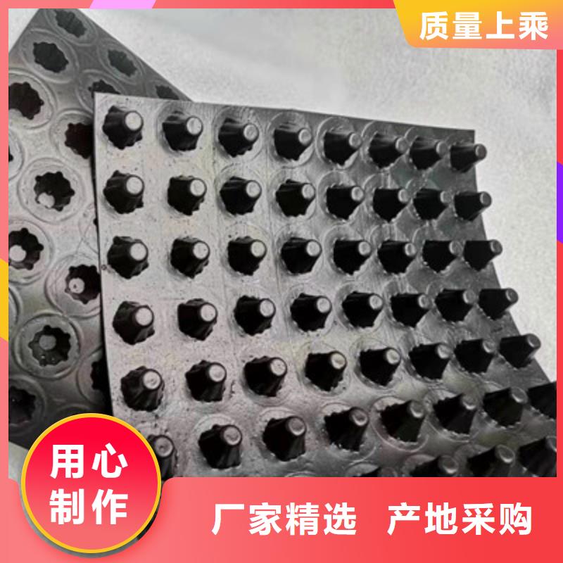 排水板土工格栅优质工艺