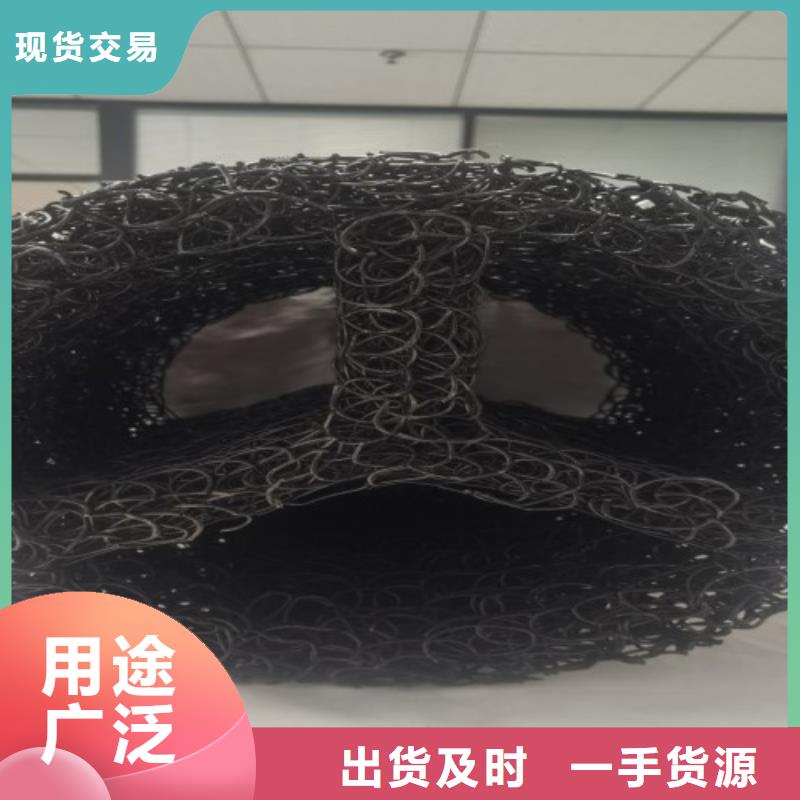 塑料盲沟三维植被网做工细致