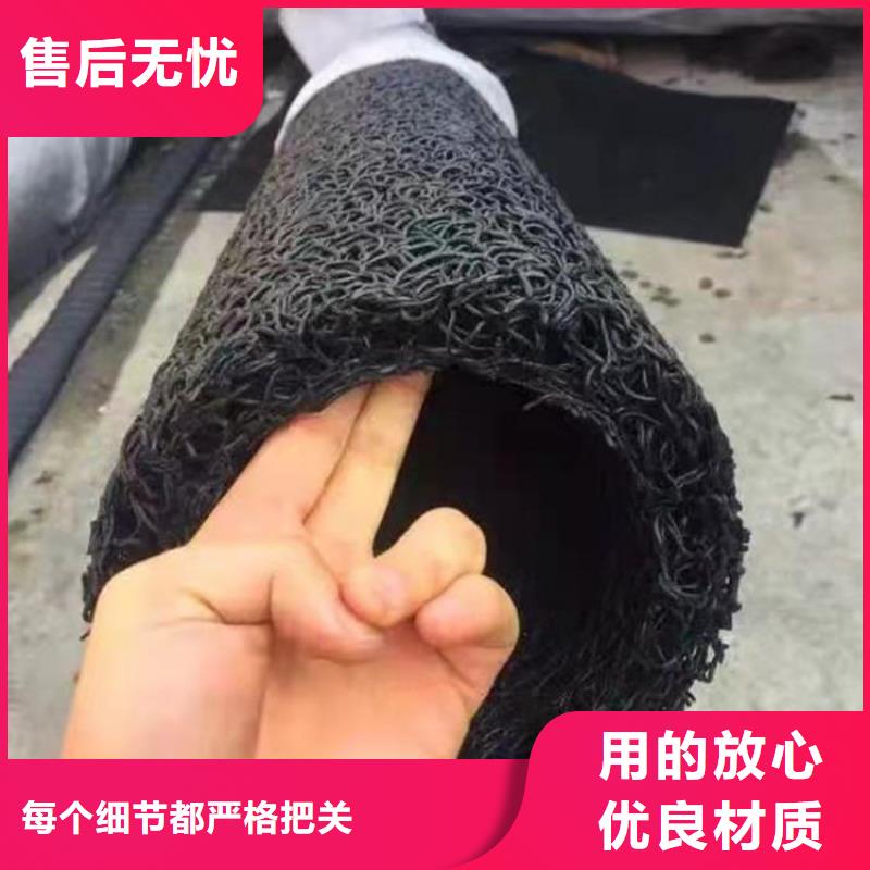 塑料盲沟,【三维植被网】讲信誉保质量