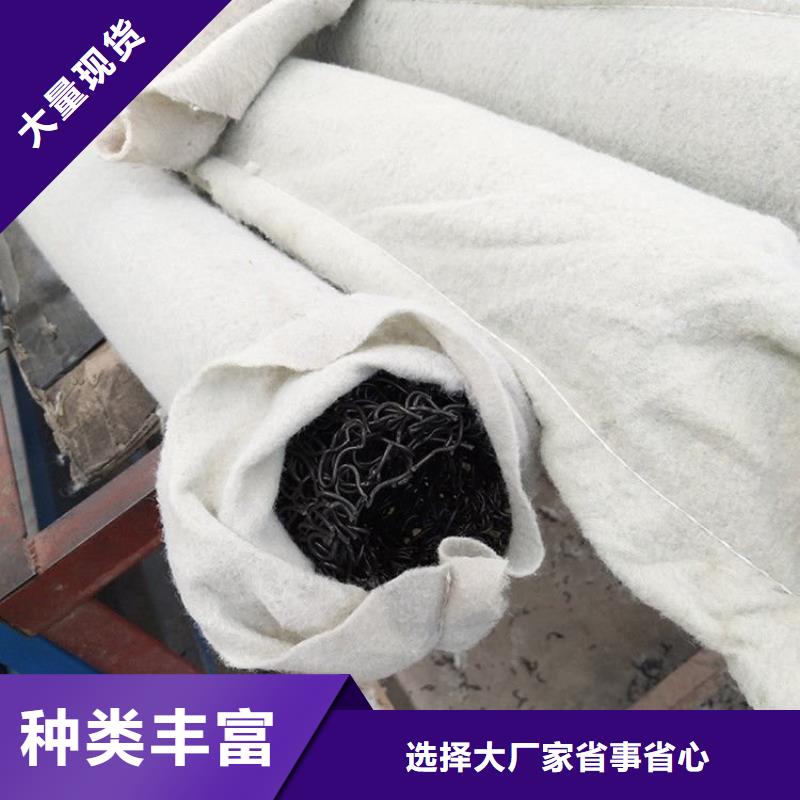 塑料盲沟三维植被网做工细致