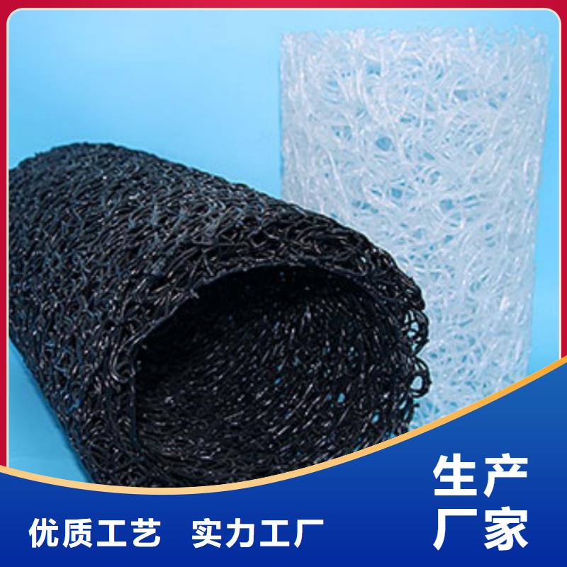 【塑料盲沟 复合土工膜专注细节专注品质】