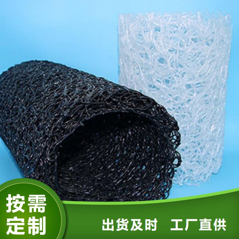 塑料盲沟三维植被网做工细致