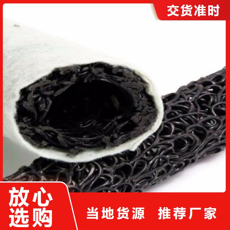 塑料盲沟 滤水板专业完善售后
