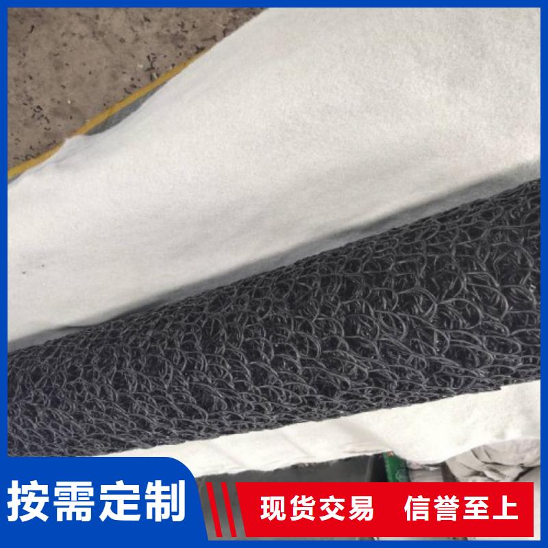 塑料盲沟 滤水板专业完善售后
