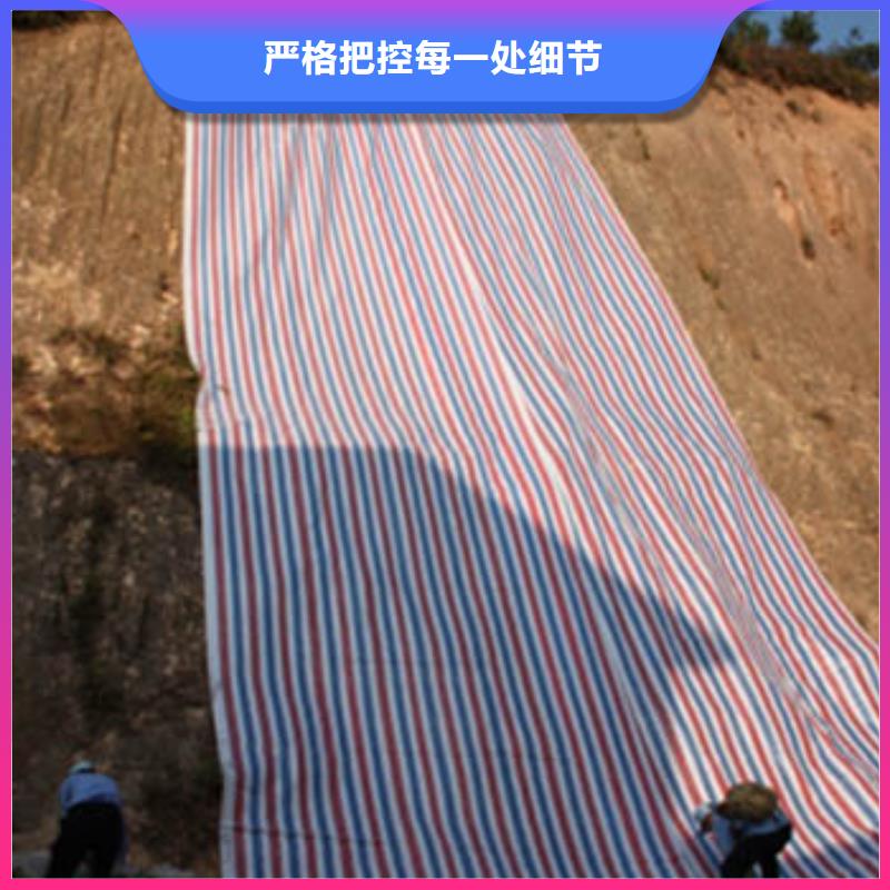 彩条布苫布打造行业品质