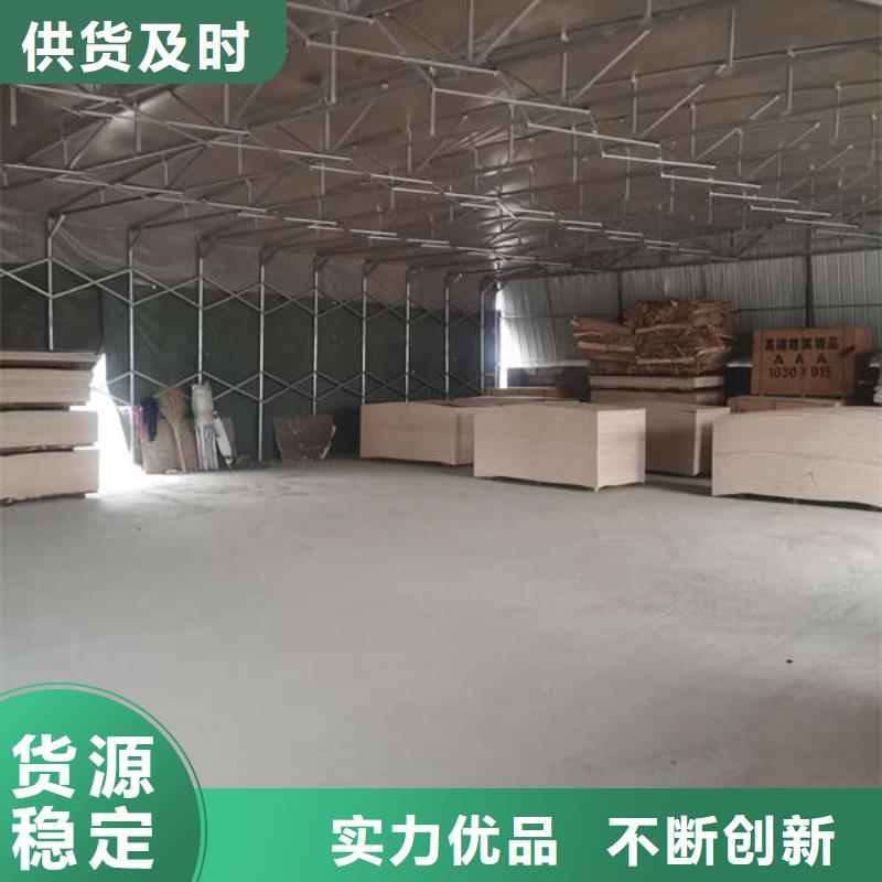 电动遮阳棚生产厂家