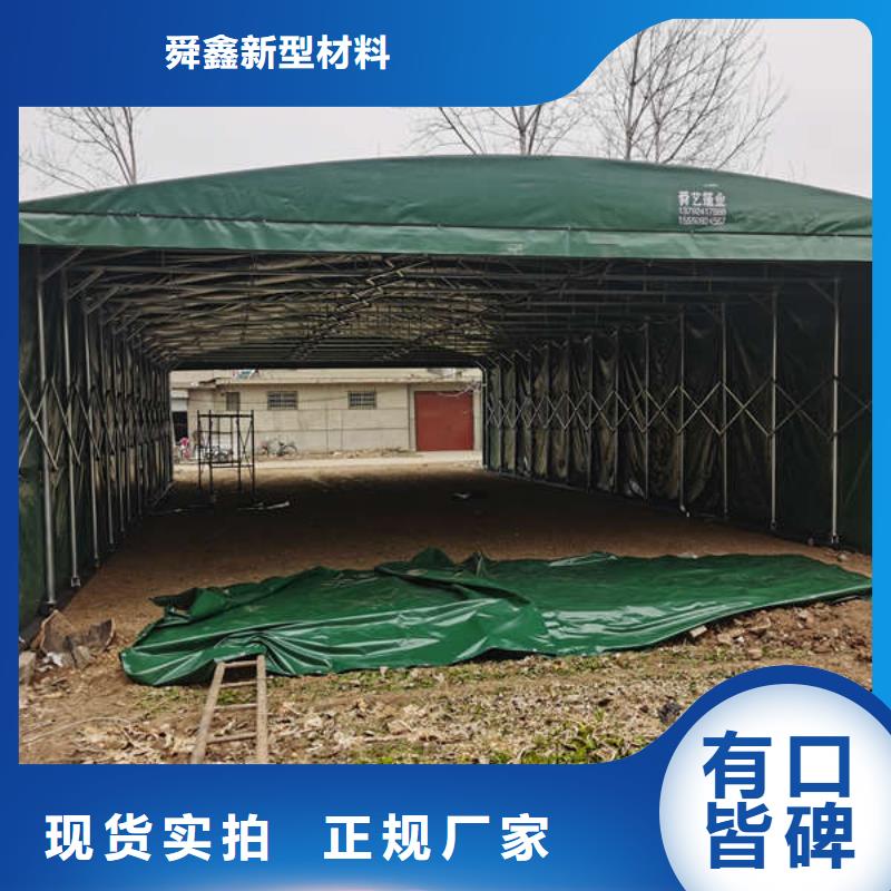 停车棚来厂考察